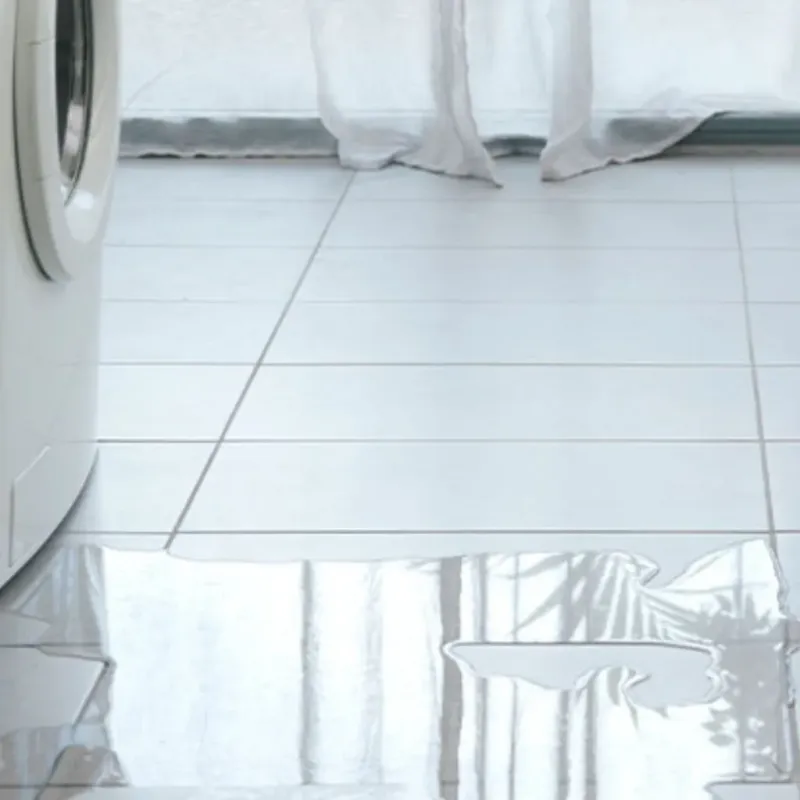 Appliance Leak Cleanup in Meridian, TX