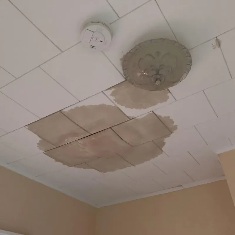 Ceiling Water Damage Repair in Meridian, TX