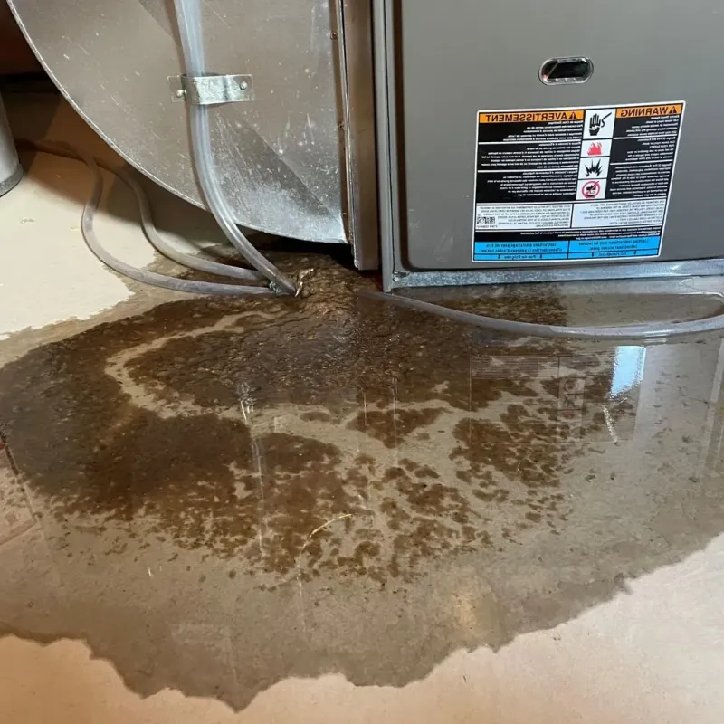 Pipe Burst and Leak Restoration in Meridian, TX