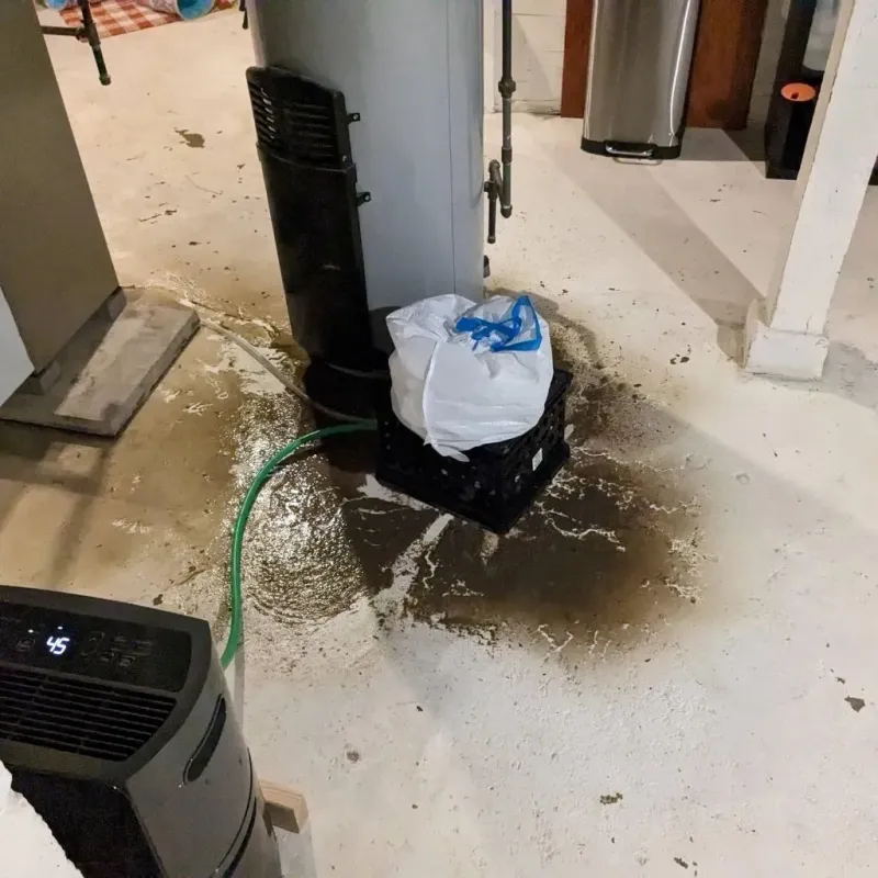 Sewage Backup Cleanup Service in Meridian, TX
